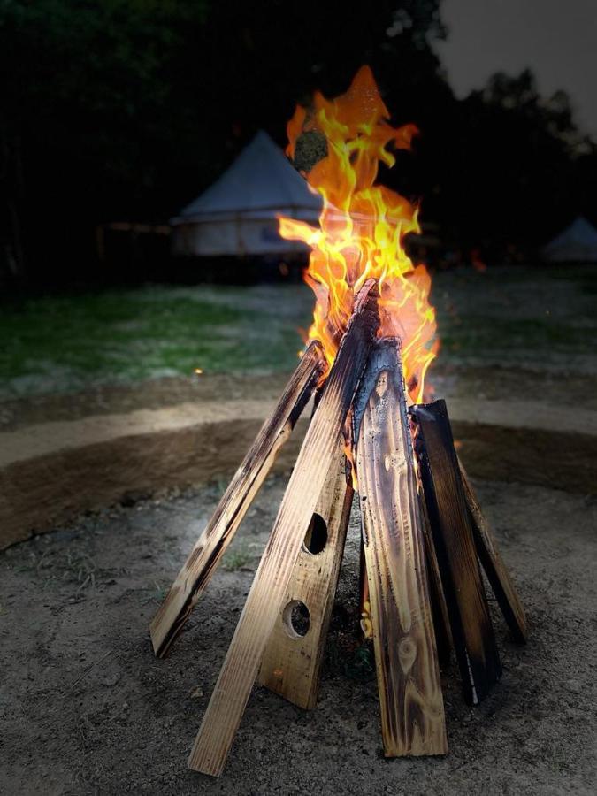 Forest Glamping Braşov