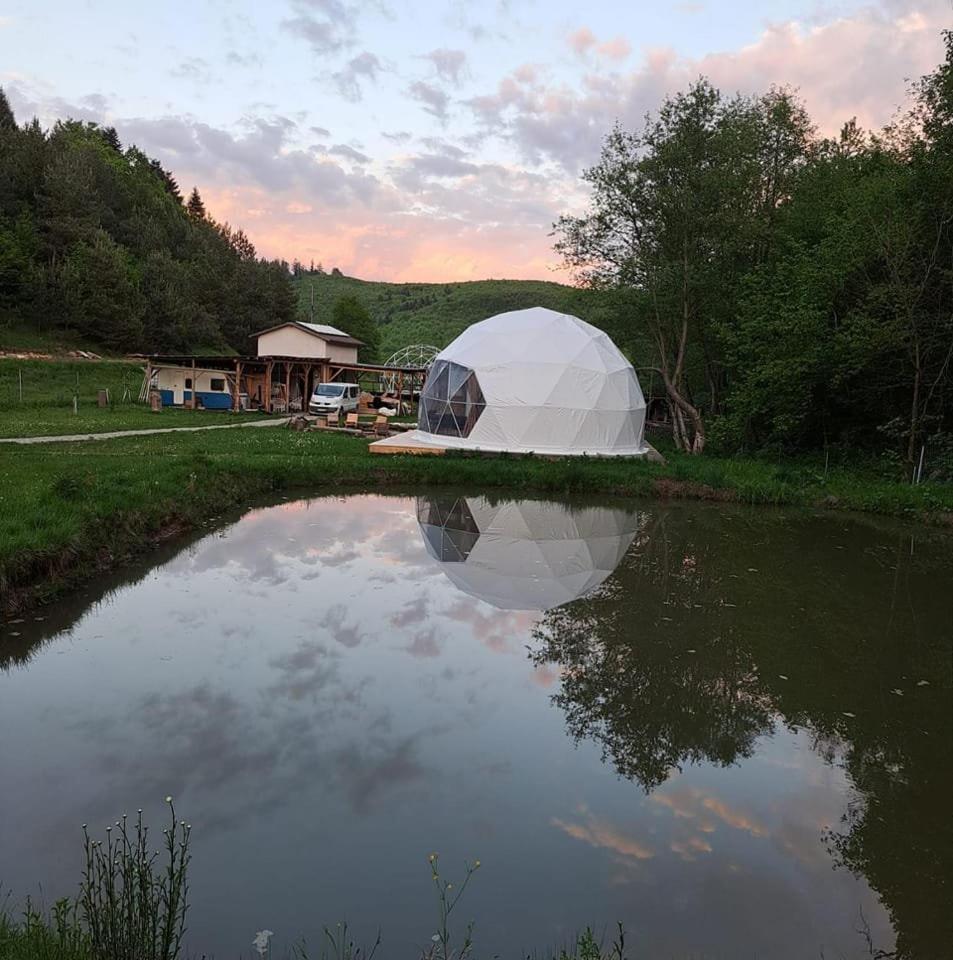 Forest Glamping *