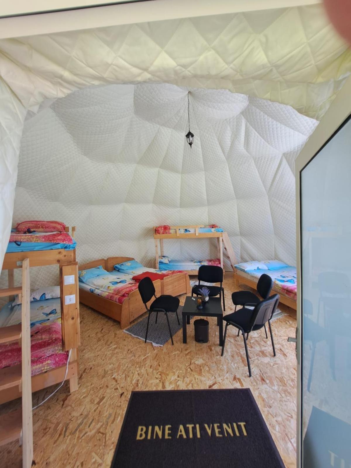 Forest Glamping *