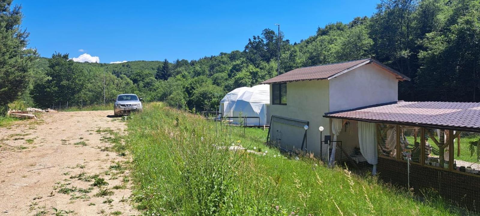 Forest Glamping