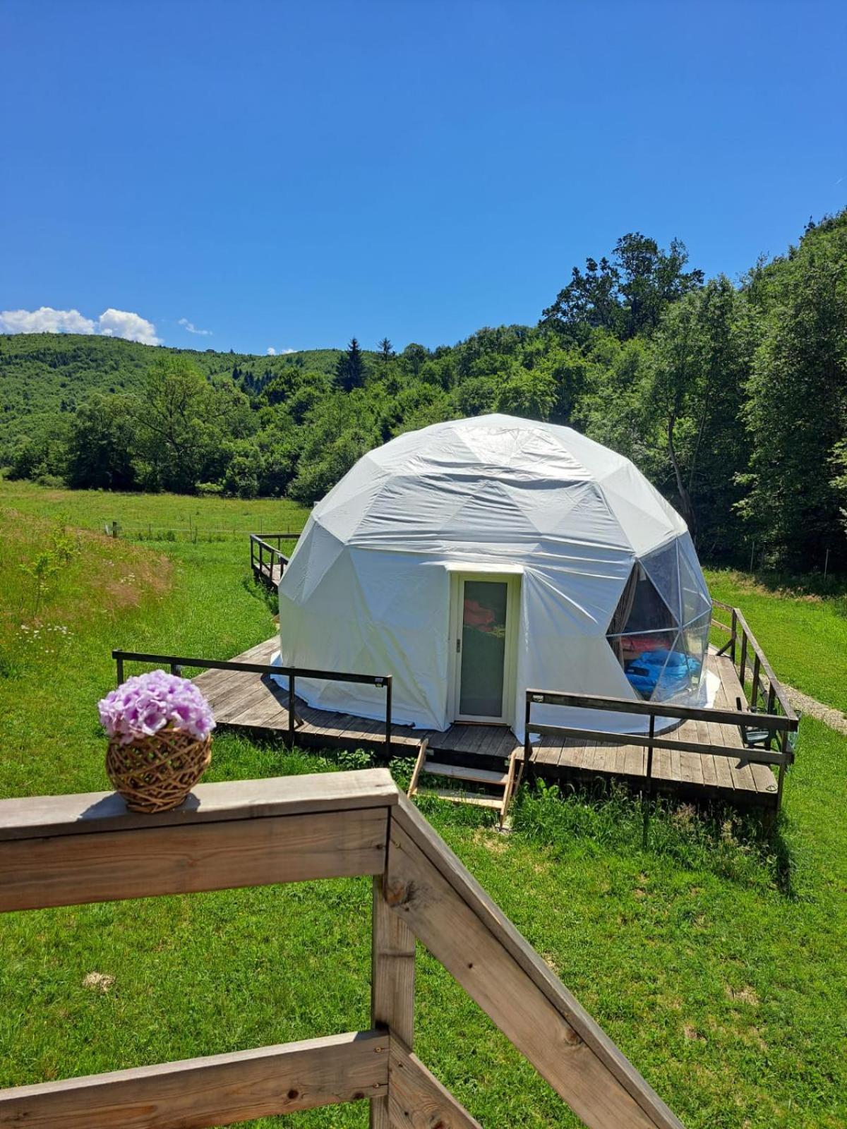 Forest Glamping *
