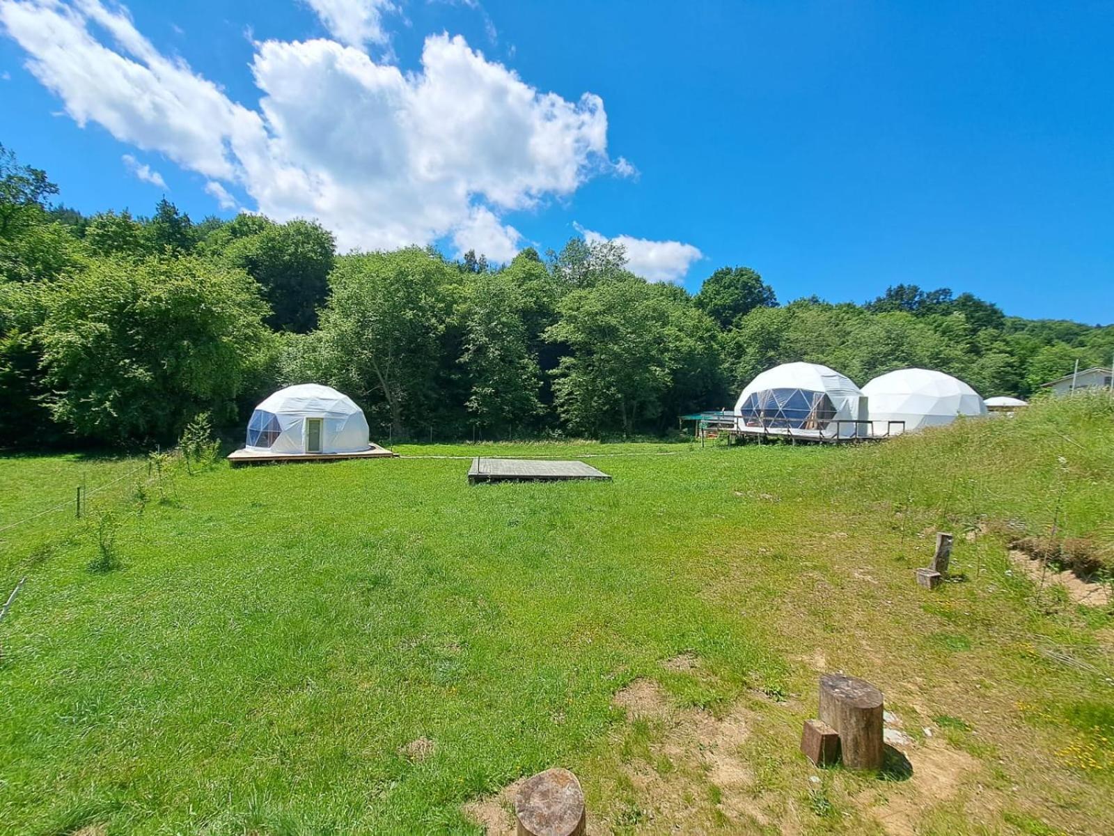 Forest Glamping