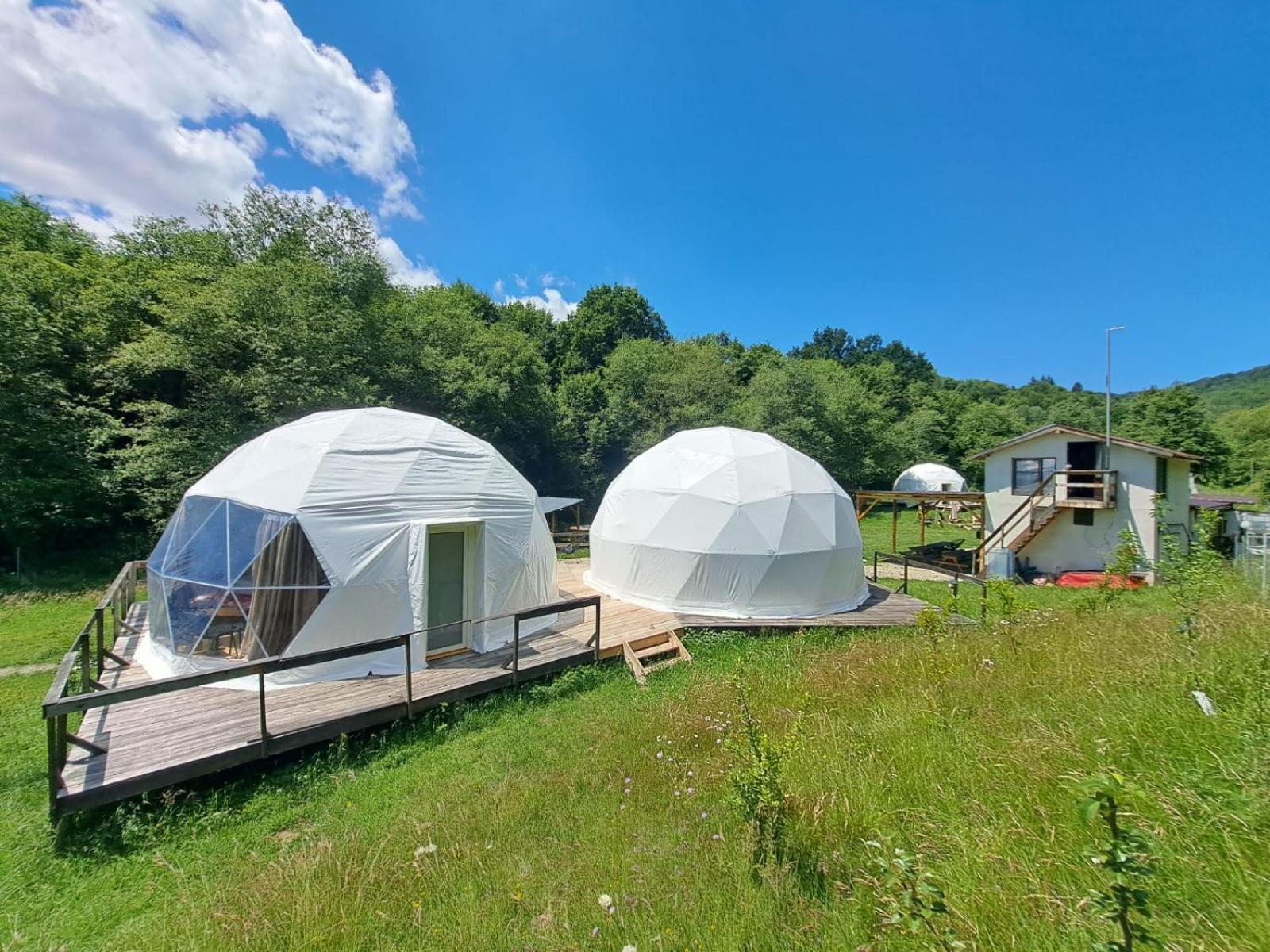 Forest Glamping Cort de lux