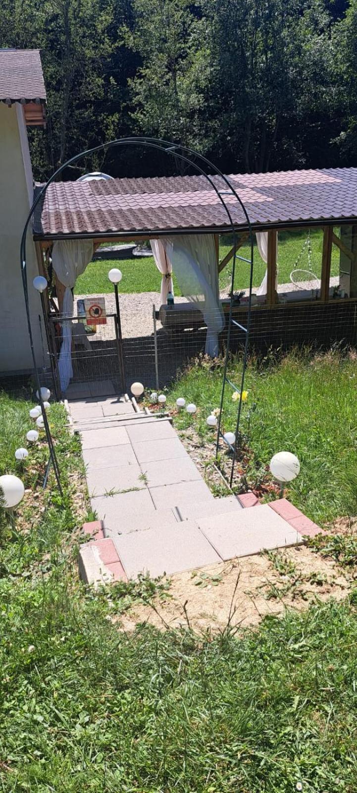Forest Glamping Cort de lux Brașov