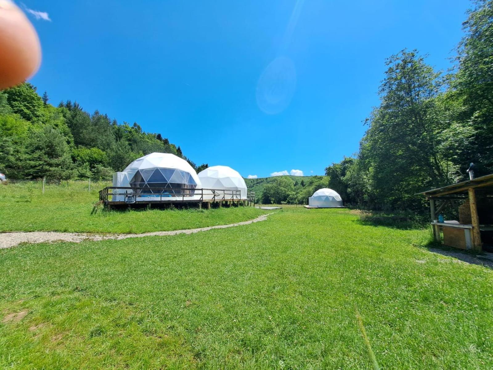 Forest Glamping