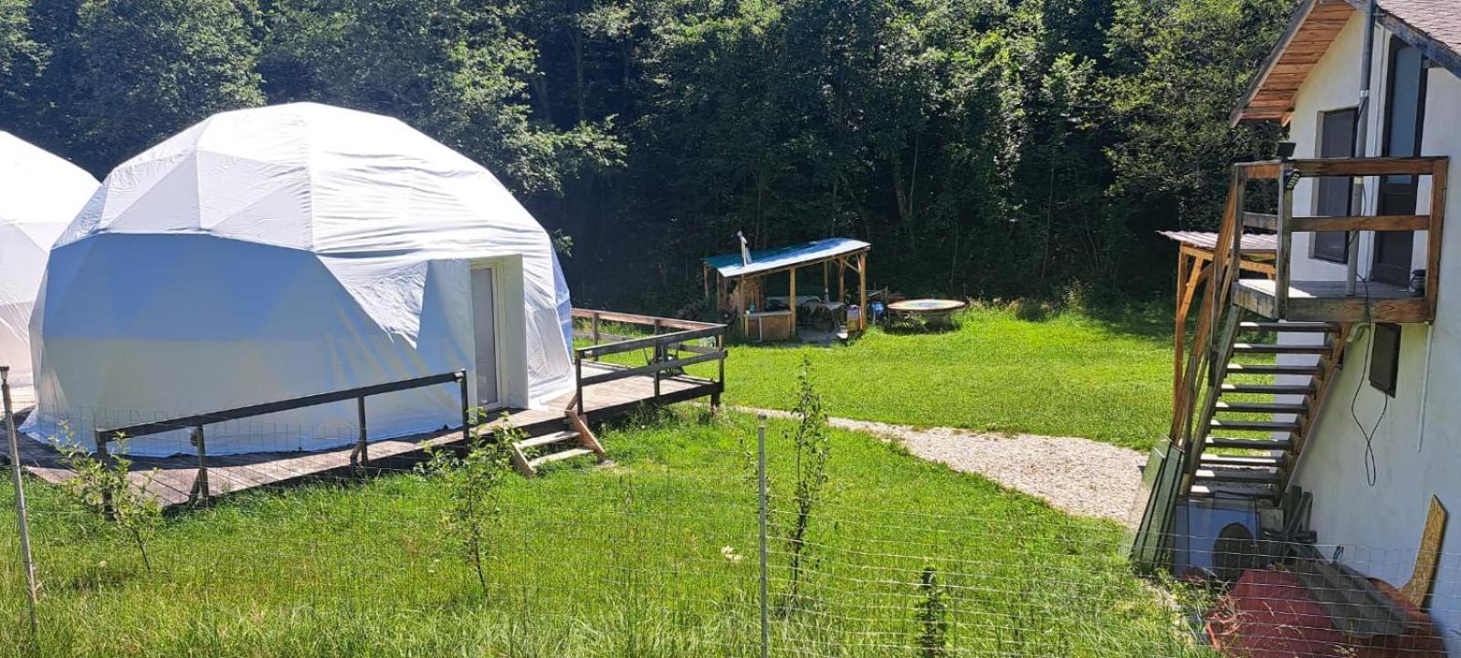 Forest Glamping *