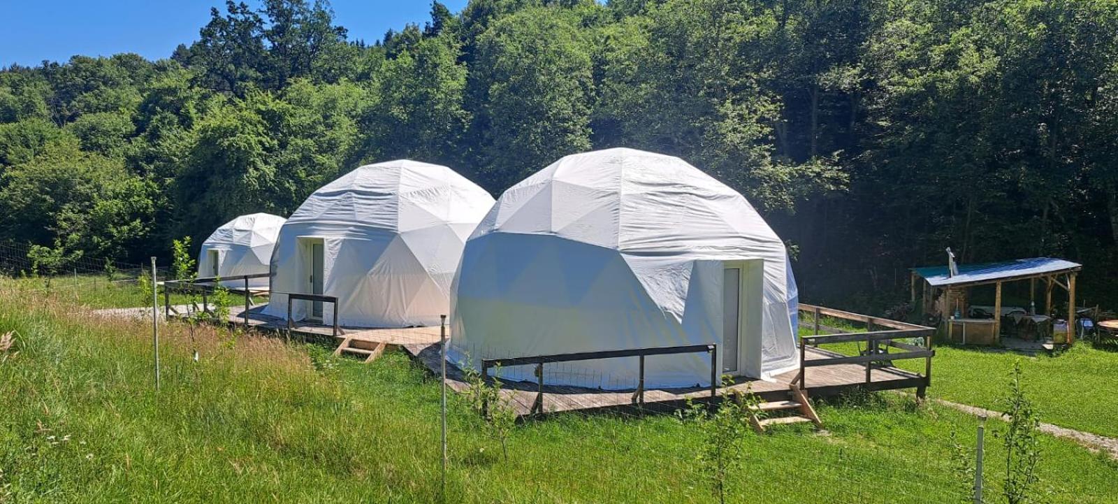 Forest Glamping Brașov