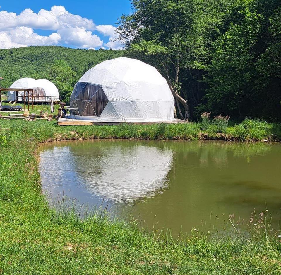 Forest Glamping