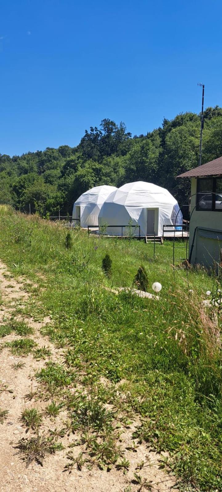 Cort de lux Forest Glamping