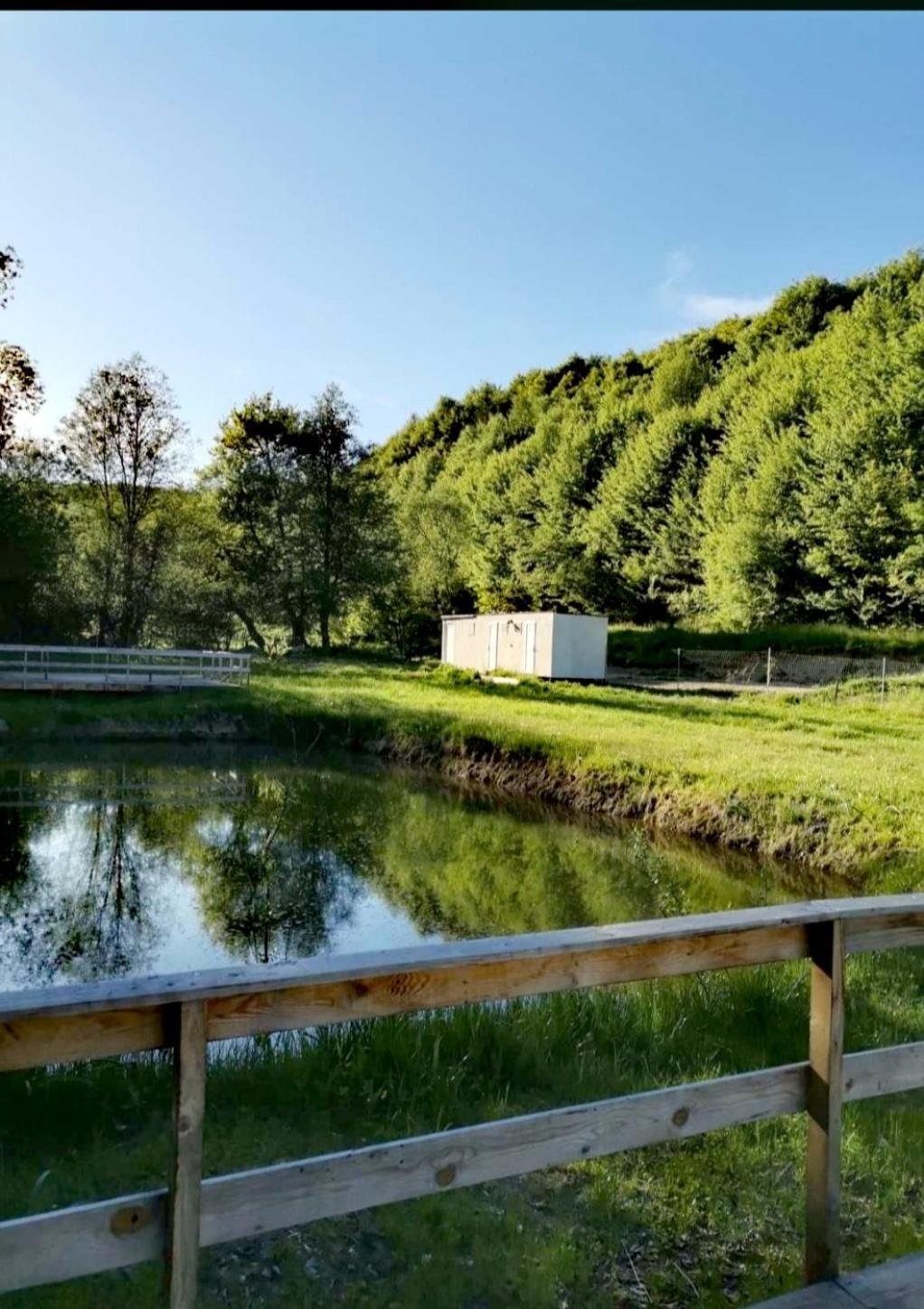 Forest Glamping Cort de lux *