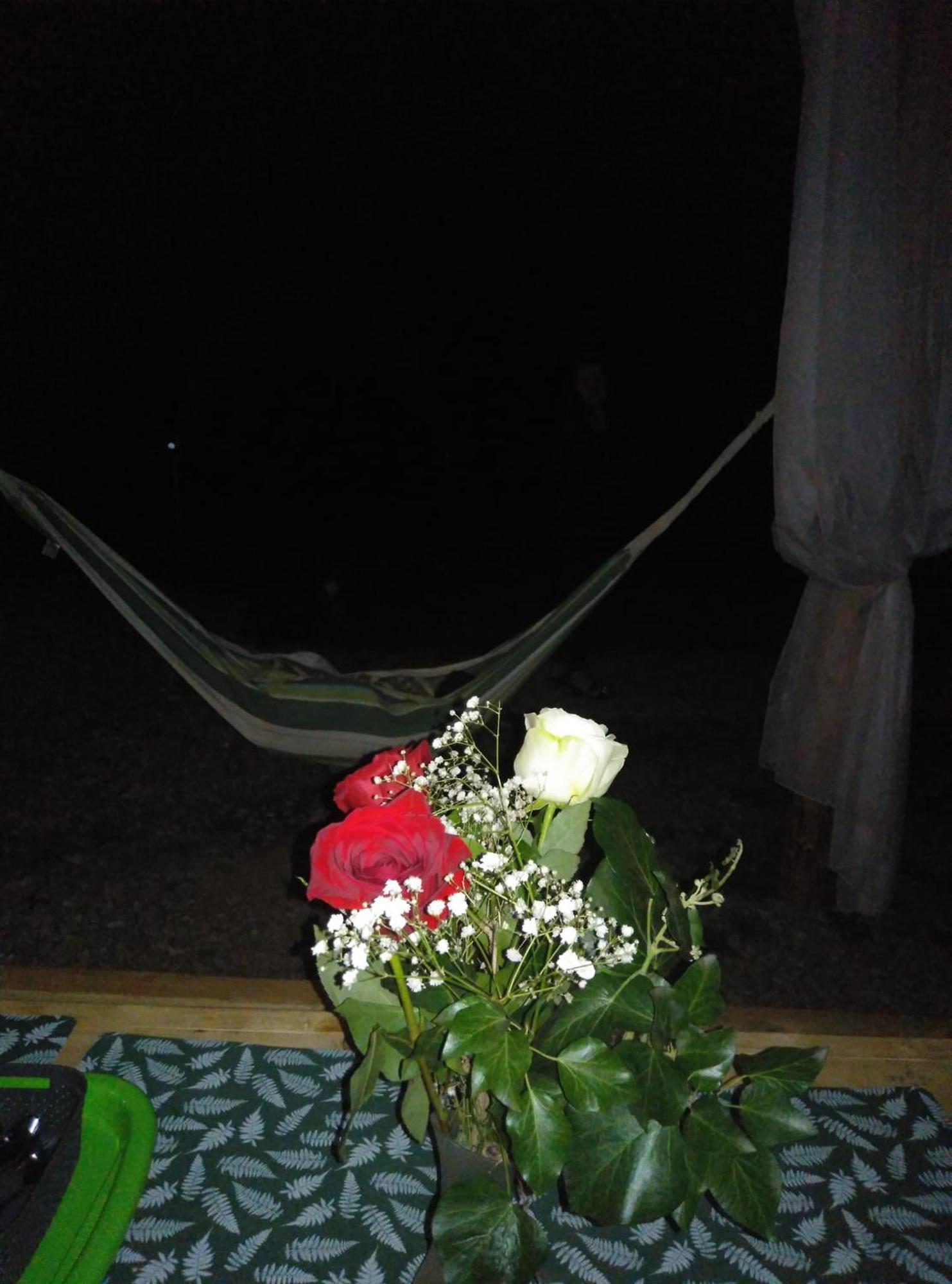 Cort de lux Forest Glamping *