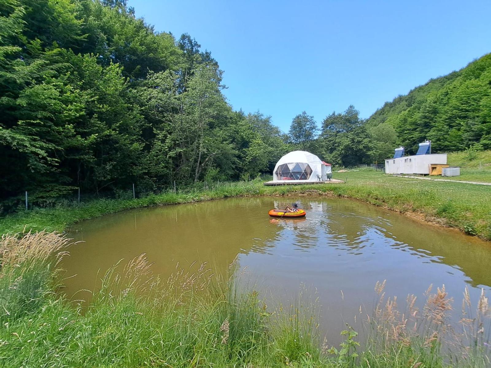 Forest Glamping *