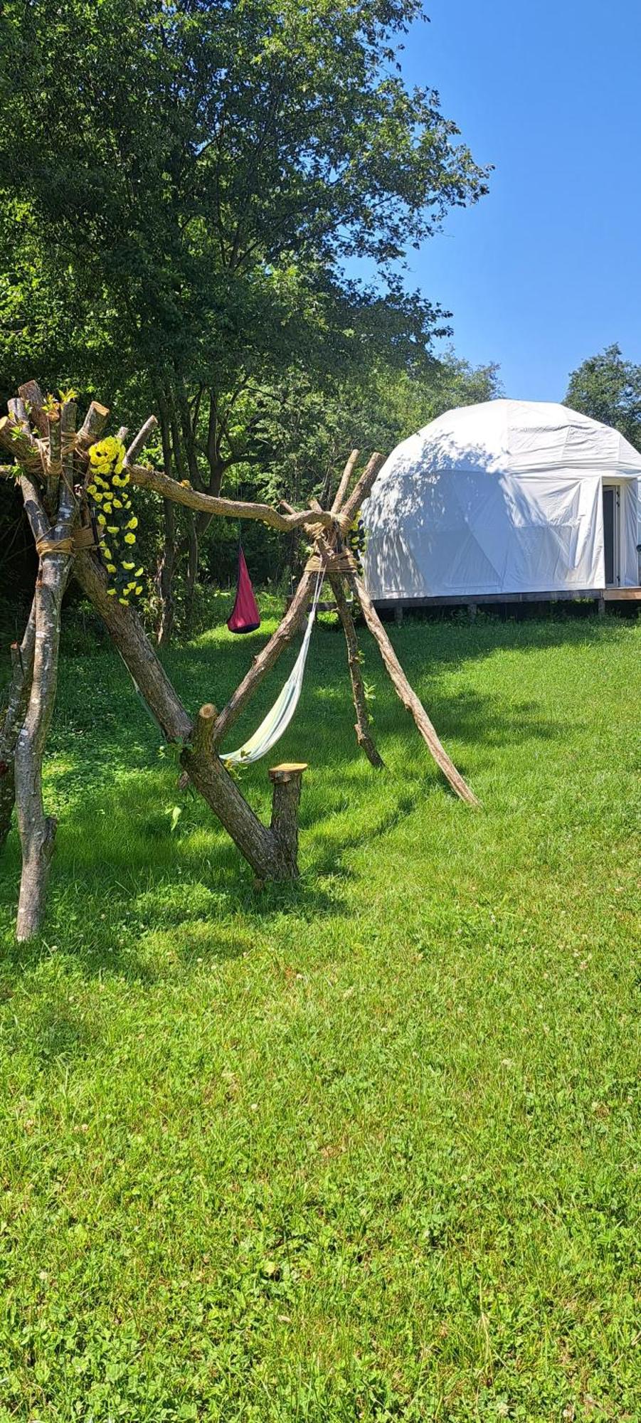 Forest Glamping Cort de lux Brașov