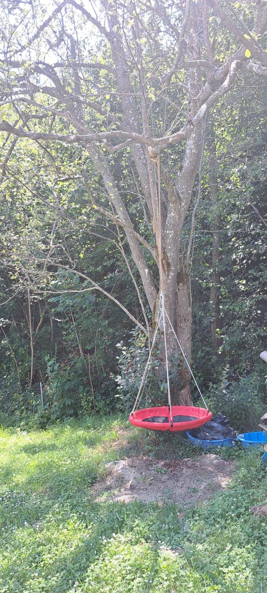 Forest Glamping * Brașov