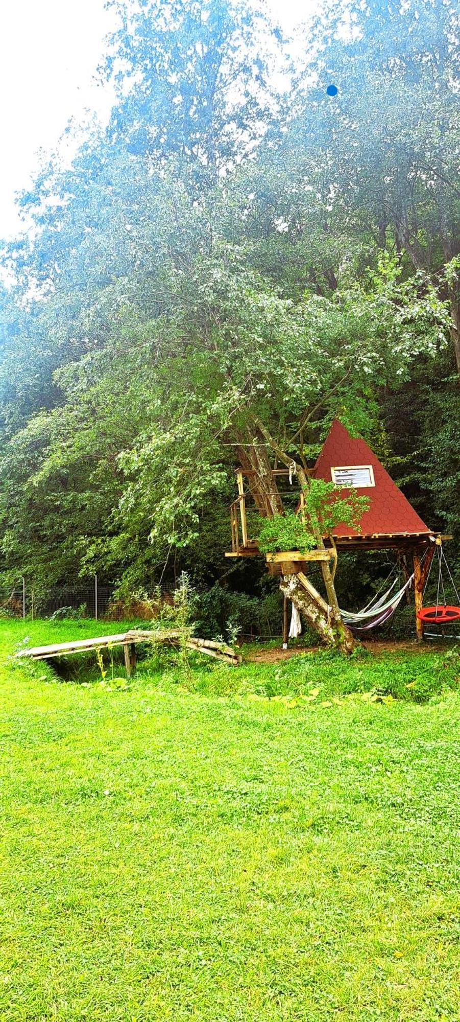 Forest Glamping *