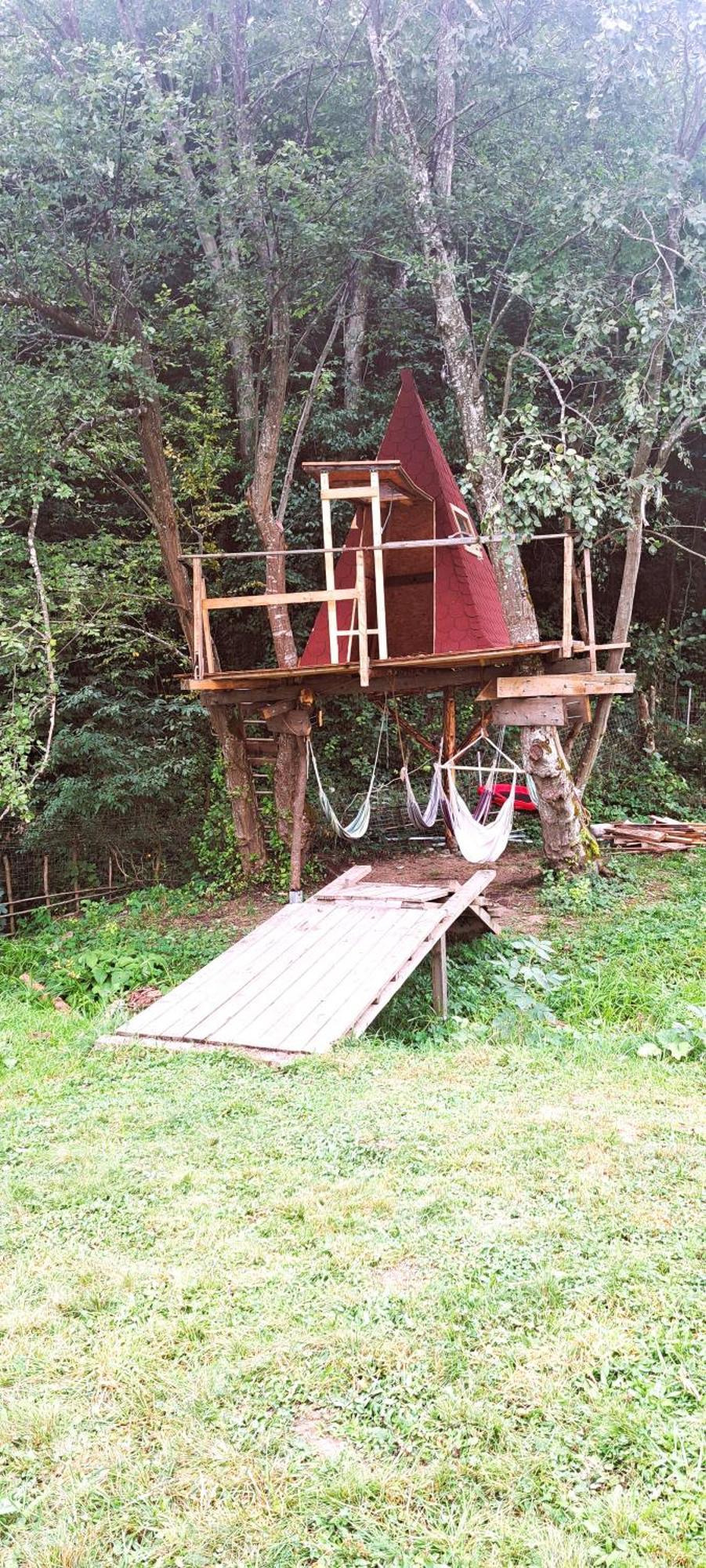 Forest Glamping Brașov